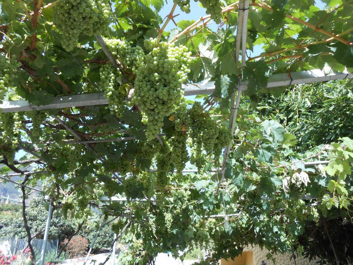 Casitas Las Uvas Y Las Vinas 로스 레알레호스 외부 사진
