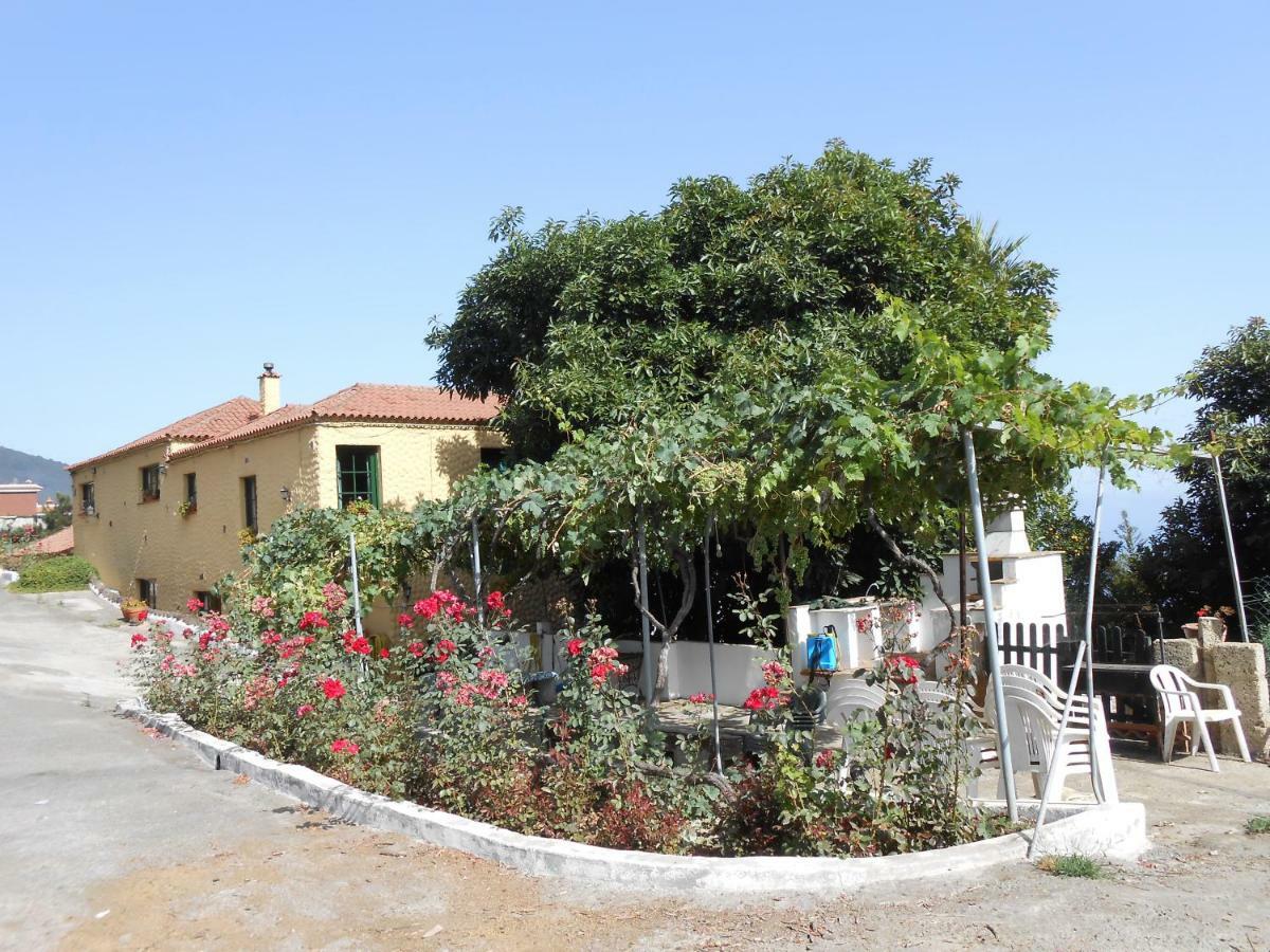 Casitas Las Uvas Y Las Vinas 로스 레알레호스 외부 사진